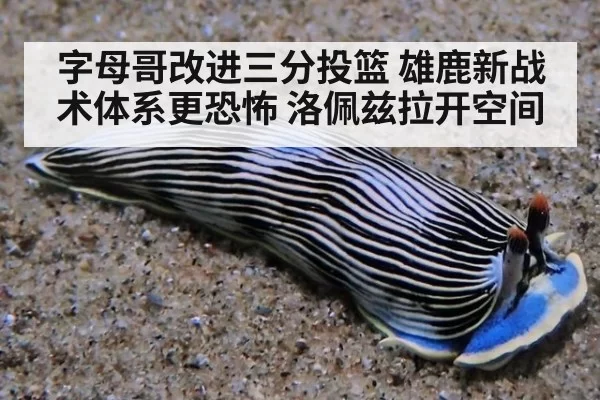 字母哥改进三分投篮 雄鹿新战术体系更恐怖 洛佩兹拉开空间