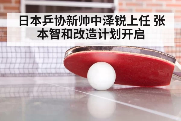 ping pong training